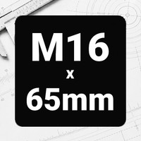 M16 x 65mm