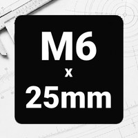 M6 x 25mm
