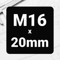 M16 x 20mm