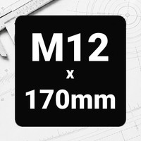 M12 x 170mm