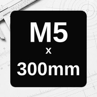 M5 x 300mm
