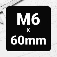 M6 x 60mm