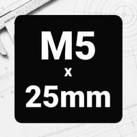 M5 x 25mm
