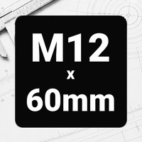 M12 x 60mm