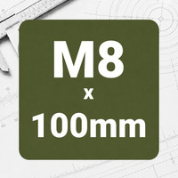 M8 x 100mm