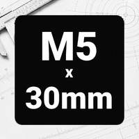 M5 x 30mm