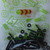 20x Black, Countersunk Cross Head, (PP), M3 x 20mm, Plastic Bolts, Nuts & Washers - Screws