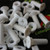 20x White, Countersunk Cross Head, (PP), M6 x 20mm, Plastic Bolts, Nuts & Washers - Screws