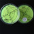 2 x Acrylic Large Spirit Bubble Level, 60mm - Green + 1 x White/Clear Small Spirit Bubble Level 15mm
