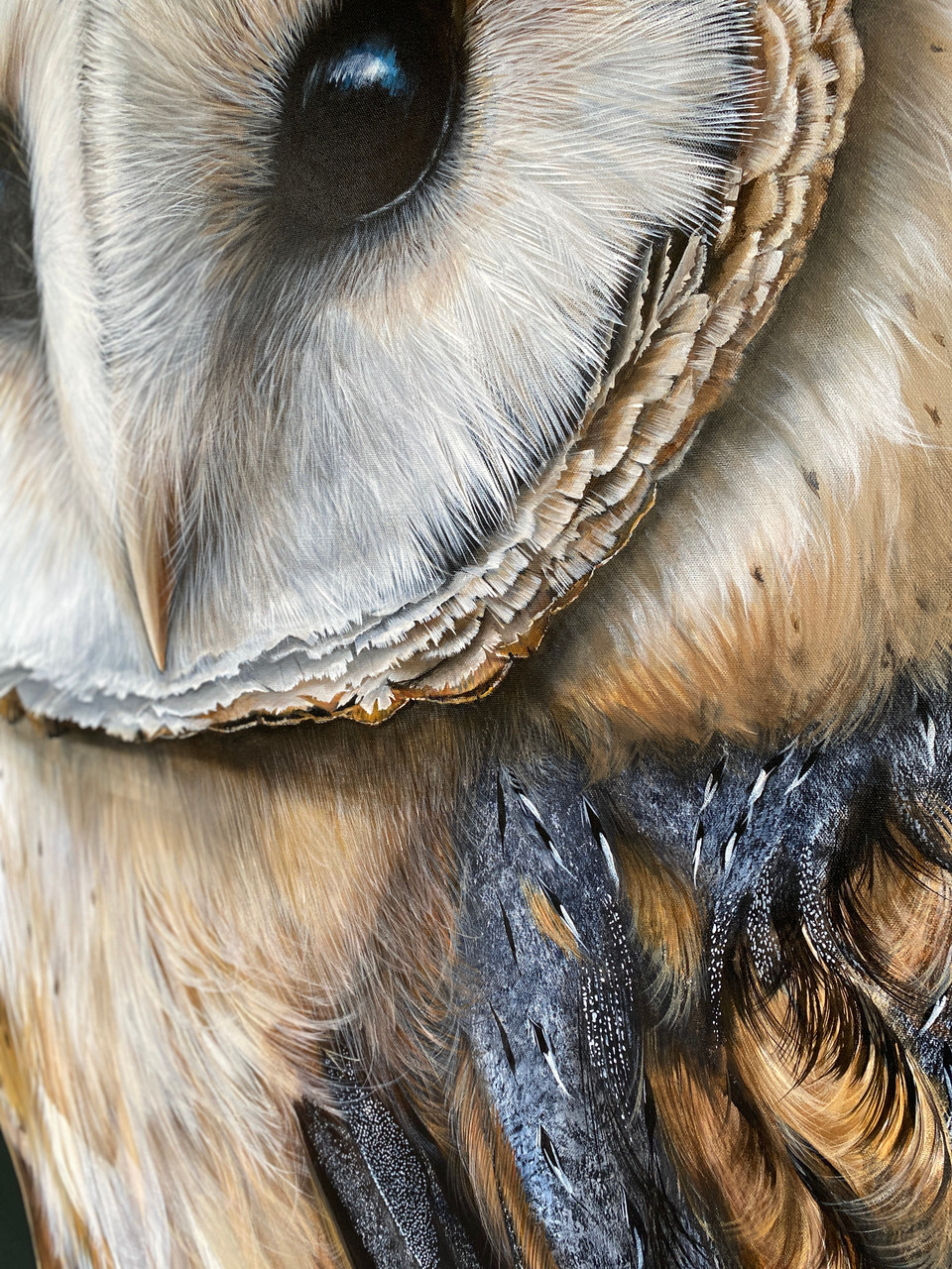 Barn owl original painting