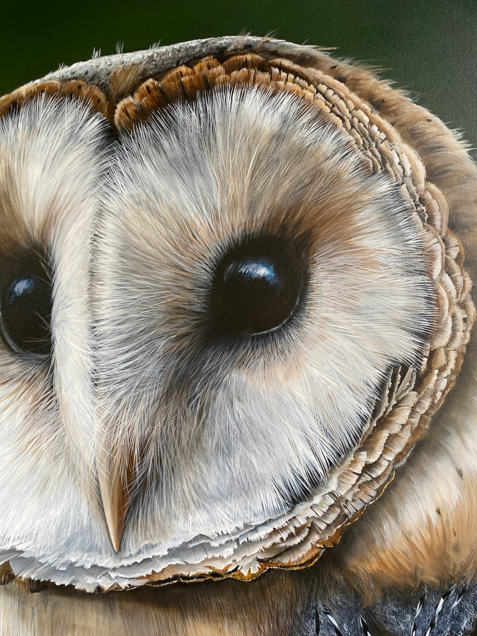 Barn owl original painting
