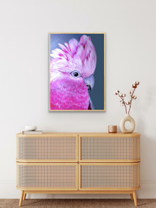Fine Art Print of an original painting Titled Galah Rose Breasted Cockatoo Fine Art Print of an original painting Titled Galah Rose Breasted Cockatoo