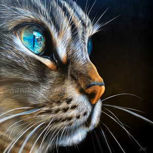 Cat Series Fine Art Print Clementine