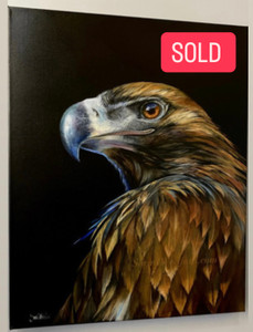 Original Acrylic on canvas painting Australian birds series Wedge tail eagle Original Acrylic on canvas painting Australian birds series Wedge tail eagle