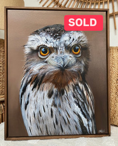 Original Framed canvas painting Australian Bird Series Tawny Frogmouth ‘Walnut’ Original Framed canvas painting Australian Bird Series Tawny Frogmouth ‘Walnut’