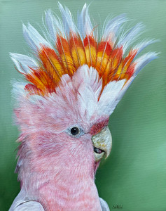 Fine Art paper print of an original painting Pink Cockatoo Australian birds up-close Series Fine Art paper print of an original painting Pink Cockatoo Australian birds up-close Series