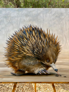 NEW Original Acrylic painting Australian Animal Series 'echidna' NEW Original Acrylic painting Australian Animal Series 'echidna'