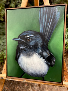 Original Framed canvas painting Australian Bird Series Willie wagtail Original Framed canvas painting Australian Bird Series Willie wagtail