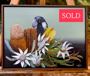 NEW Original Framed canvas painting New series Australian native birds and flora NEW Original Framed canvas painting New series Australian native birds and flora