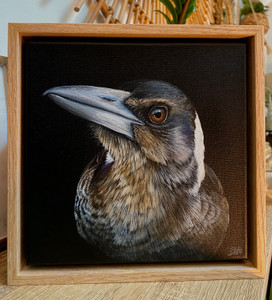 Original series oak framed original paintings Baby Magpie