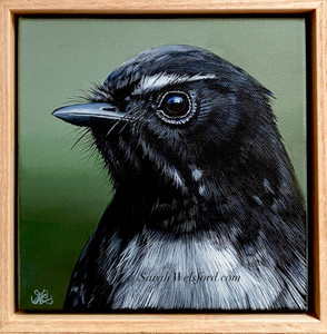 Original painting as part of my oak framed series Willie wagtail