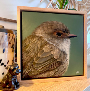 Original Painting as part of my Natural Tasmanian 0ak framed portrait series Female fairy wren