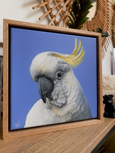 Original Painting as part of my Natural Tasmanian 0ak framed portrait series Sulphur Crested Cockatoo