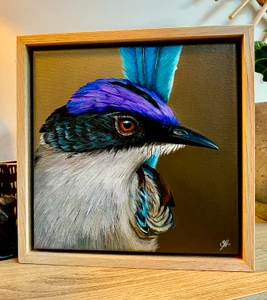 Original Painting as part of my Tasmanian 0ak framed Australian bird portrait series A Purple-crowned fairy wren