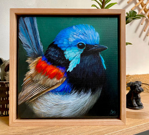 Original Painting as part of my oak framed Australian bird series Variegated Fairy Wren