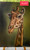 NEW Giraffe acrylic painting realism on linen “African animal up-close series’