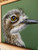 Original Painting as part of my Natural Timber 0ak framed portrait series Bush stone-curlew