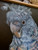 Original Painting as part of my oak framed Australian bird series Female Gang gang Cockatoo
