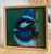 Original Painting as part of my oak framed Australian bird series Male Superb Wren lll