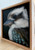 Original Painting as part of my oak framed Australian bird series Laughing Kookaburra