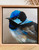 Original Painting as part of my oak framed Australian bird series portrait of a Superb Fairy Wren up close