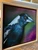 Original Painting as part of my oak framed Australian bird portrait series Magpie