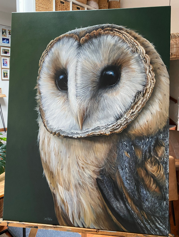NEW Original Acrylic painting Australian Birds series 'barn owl'