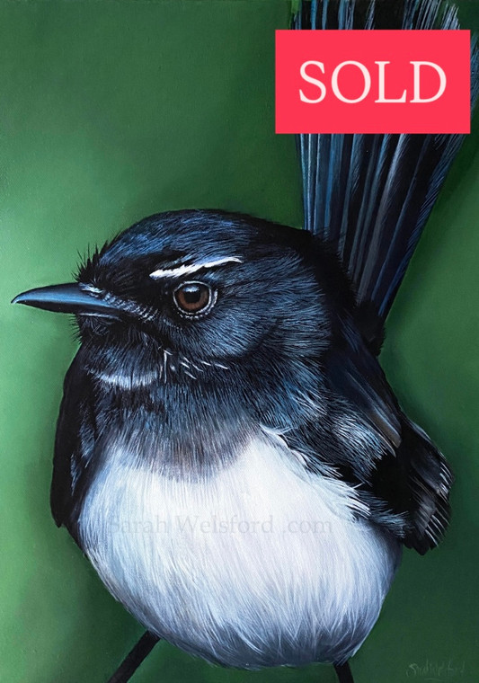 Original Framed canvas painting Australian Bird Series Willie wagtail