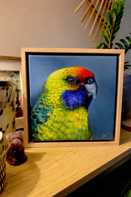 Original series oak timber framed original paintings Tasmanian Rosella or Green rosella