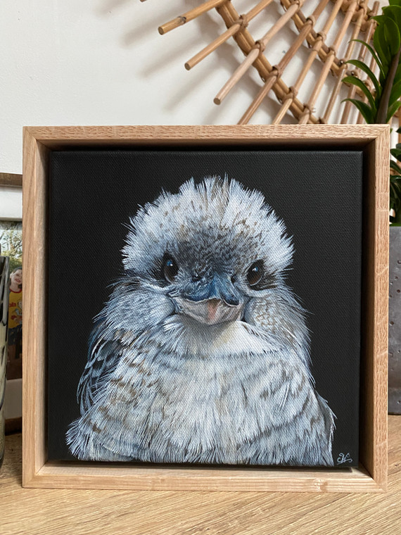 Original series oak timber framed original paintings Baby Kookaburra