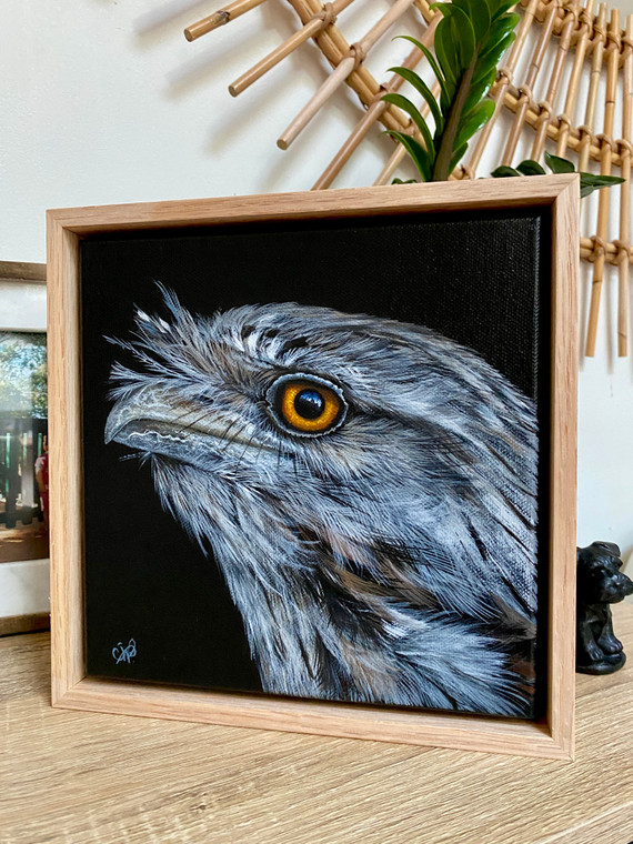 Original Painting as part of my Oak framed portrait series Tawny Frogmouth