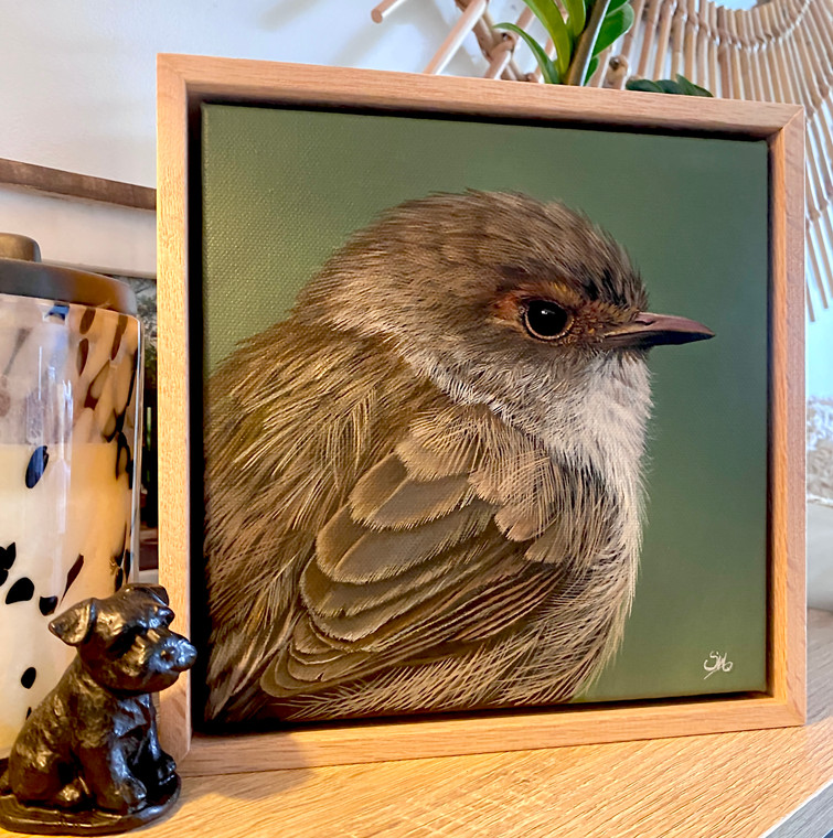 Original Painting as part of my Natural Tasmanian 0ak framed portrait series Female fairy wren