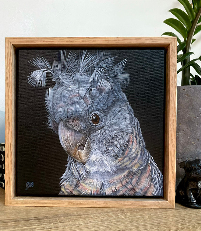 Original Painting as part of my oak framed Australian bird series Female Gang gang Cockatoo