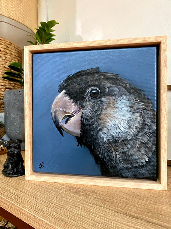 Original Painting as part of my oak framed Australian bird series Baudin's Black Cockatoo