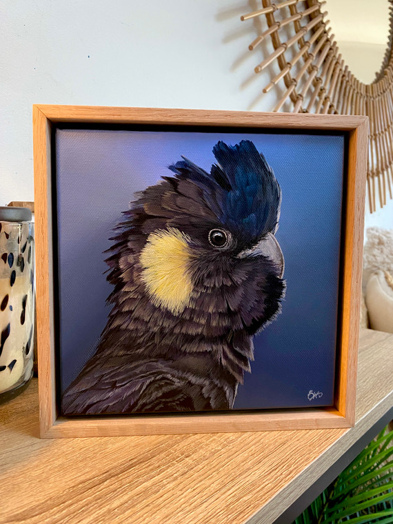 Original Painting as part of my oak framed Australian bird series Yellow tail Black Cockatoo