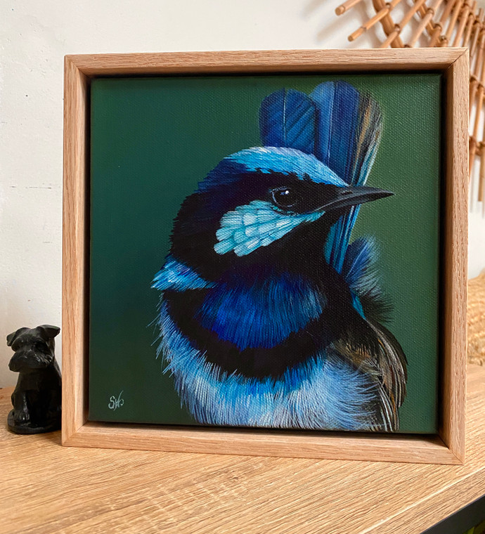 Original Painting as part of my oak framed Australian bird series Male Superb Wren lll