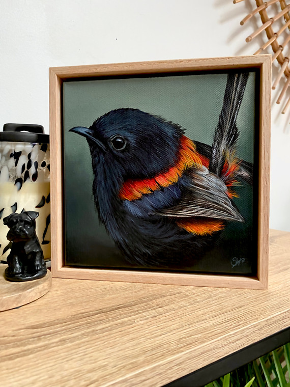 Original Painting as part of my oak framed Australian bird series Red backed Fairy Wren