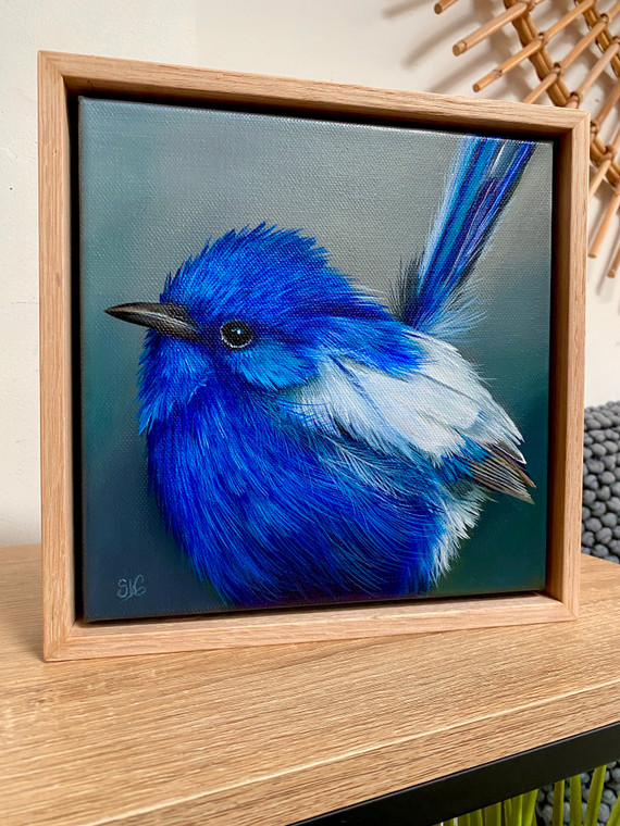 Original Painting as part of my oak framed Australian bird series White Winged Fairy Wren