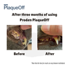 ProDen PlaqueOff Cat Before and After