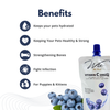 Wix Blueberry Vitamin C (Cat & Dog) 150ml x2 Bundle